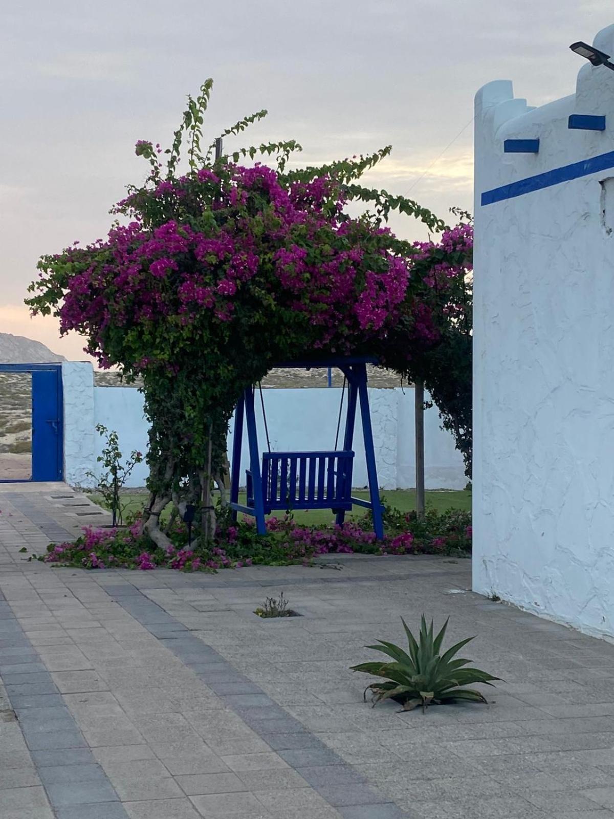 Al-Ashkhara Beach Resort منتجع شاطئ الأشخرة 阿夏尔奇亚 外观 照片
