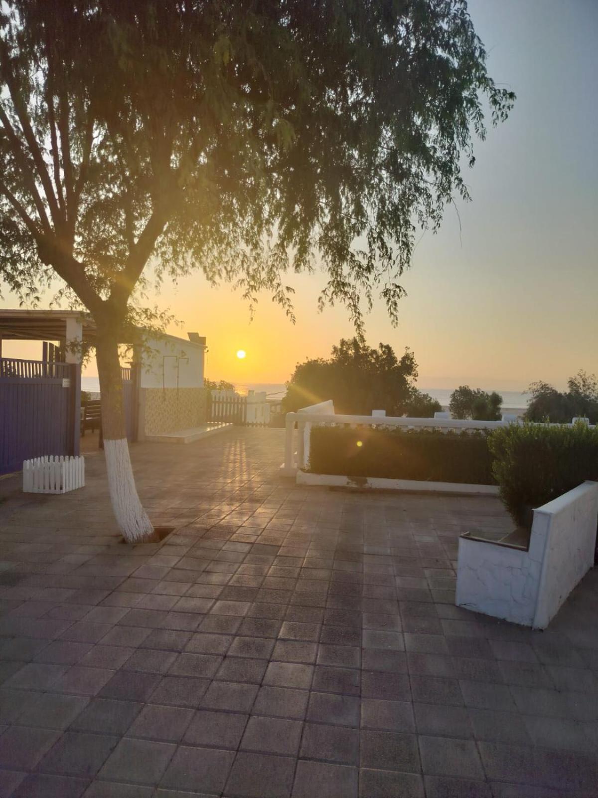 Al-Ashkhara Beach Resort منتجع شاطئ الأشخرة 阿夏尔奇亚 外观 照片