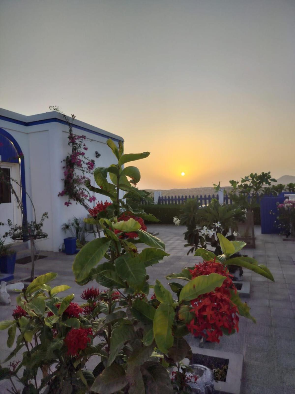 Al-Ashkhara Beach Resort منتجع شاطئ الأشخرة 阿夏尔奇亚 外观 照片