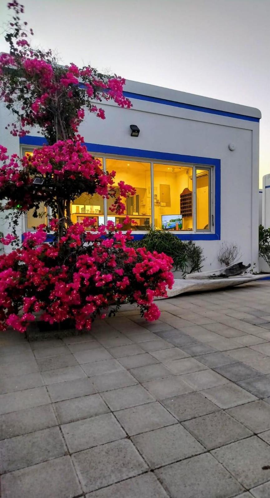 Al-Ashkhara Beach Resort منتجع شاطئ الأشخرة 阿夏尔奇亚 外观 照片